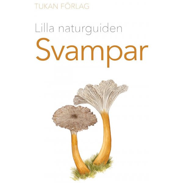 Kleine natuurgids: Paddestoelen