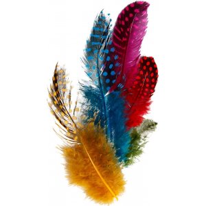 Parelhoenveren - gemengde kleuren - 3 g Parelhoenveren - gemengde kleuren - 3 g