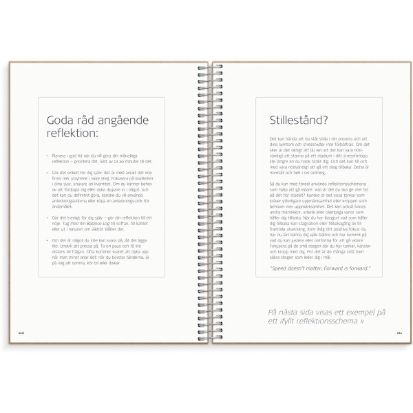 Saldologboek Saldologboek