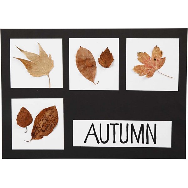 Karton - zwart en wit A2, A3, A4 - 600 st Karton - zwart en wit A2, A3, A4 - 600 st