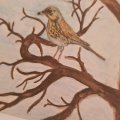 Klant imago Aquarelpotlood Albrecht Dürer - 177 Walnootbruin