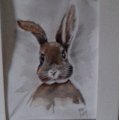 Klant imago Aquarelblok Gelijmd Ruw bos Bogen 300g - A4