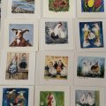 Klant imago Aquarelstudio - 25-pack - vel, 200 gram, medium korrel, 500 x 700 mm