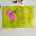 Klant imago Rembrandt aquarel 1/2 kopje - rood-2-quinacridone roos