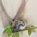Klant imago Aquarelblok Gelijmd Koudgeperste Bogen 300g - A3