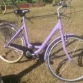 Klant imago MTN 94 400 ml - RV-172 Lot Violet