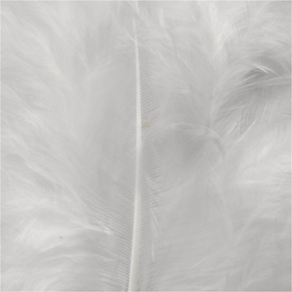 Dons - wit - 50 g Dons - wit - 50 g