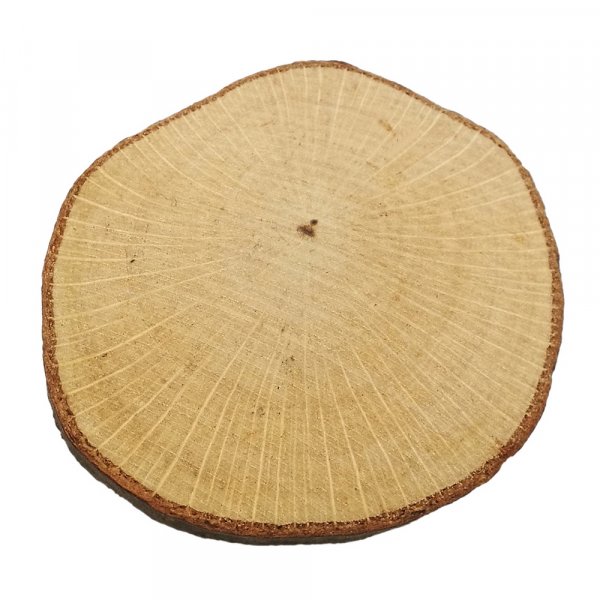 Onbehandelde houten plank - 10-pack
