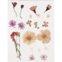 Gedroogde bloemen en bladeren - lichtroze