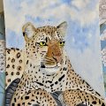 Klant imago Aquarelblok RH - A4, 210 x 297 mm
