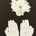 Klant imago Crêpepapier 50 x 250 cm - wit