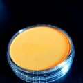 Klant imago PanPastel - Oranje