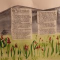 Klant imago Aquarelverf W&N Cotman Half kopje - 329 Intens groen
