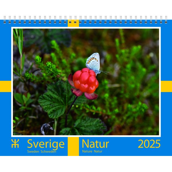 Wandkalender - Zweden - Almanacksfrlaget