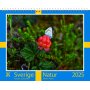 Wandkalender - Zweden - Almanacksfrlaget
