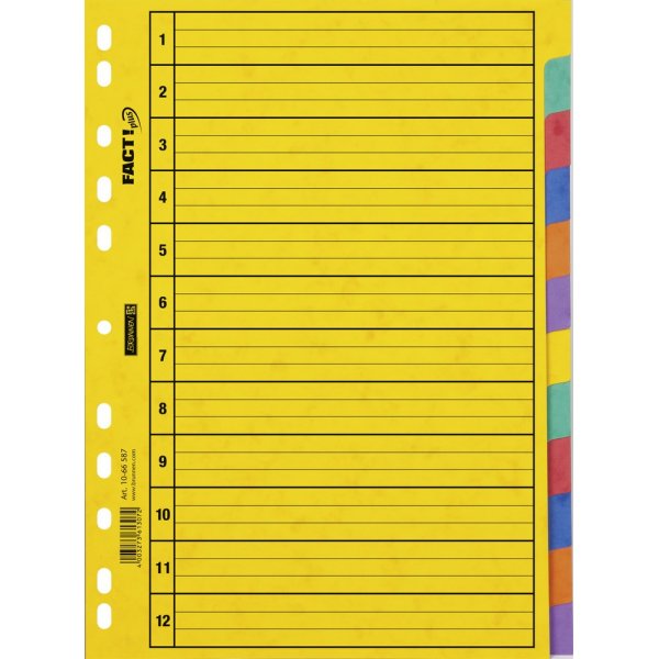 Index voor ringband - A4 hardboard - 12 tabs