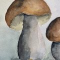 Klant imago Aquarelblok Gelijmd Ruw bos Bogen 300g - A4