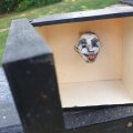 Klant imago Onbehandelde houten kist - 13x13x7,5 cm
