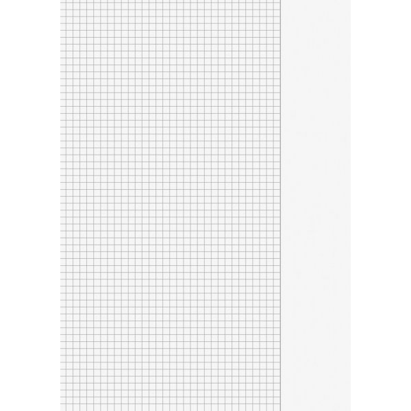 Losse pagina\\\'s - dubbele gevouwen pagina\\\'s A3 (A4) - gelinieerd (Type 26)