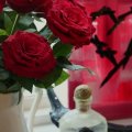 Klant imago Van Gogh Acrylverf 40 ml - Quinacridona roos