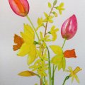 Klant imago Aquarelverf W&N Cotman Half kopje - 109 Cadmiumgele tint