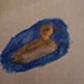 Klant imago Aquarelpotlood Albrecht Dürer - 247 Indanthrene Blauw