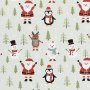 Cadeaupapier - ijsblauw - Kerstmotief - 5 meter