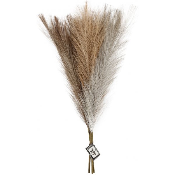 Pampasgras - ivoor - lichtbruin - lichtgrijs - 3 st Pampasgras - ivoor - lichtbruin - lichtgrijs - 3 st