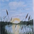 Klant imago Aquarelverf W&N Cotman tube 8 ml - 119 Cadmiumgeel bleke tint