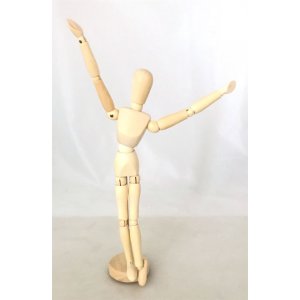 Houten model sok Sapiensh 30cm Houten model sok Sapiensh 30cm