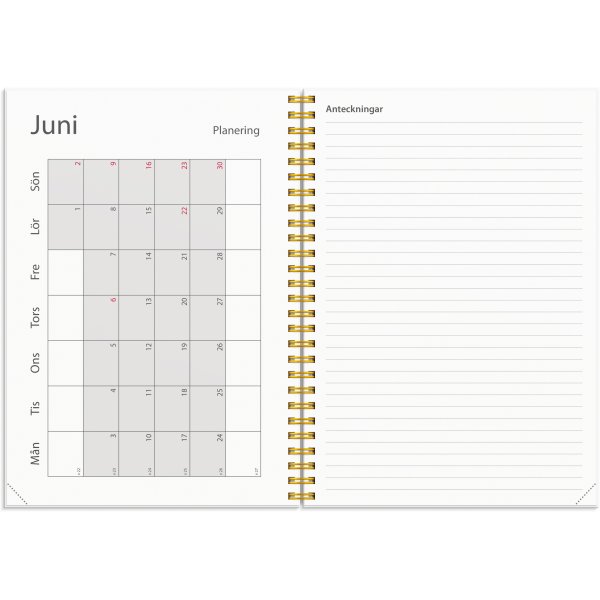 Kalender 24/25 Studie - A5 - Ster