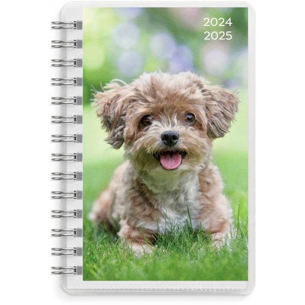 Kalender 24/25 Compact - Huisdieren
