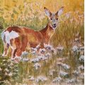 Klant imago Aquarelblok Ruw bosje Bogen 300g - 31x41 cm