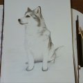 Klant imago Aquarelblok Gelijmd Koudgeperste Bogen 300g - A4