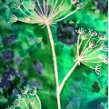 Klant imago Aquarelpen Mondeluz - 24 pennen blikken doos