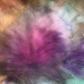 Klant imago Rembrandt Waterverf 5 ml - Quinacridone roos