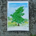 Klant imago Canson XL Aquarelle 300g - A5