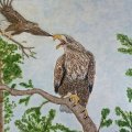 Klant imago Acrylblok Hahnem�hle 330g - 30x40cm