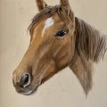 Klant imago Canson Mi-Teintes Touch 350g 50x65 cm - Crème