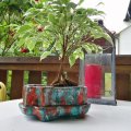 Klant imago DAS Klei 1 kg Terracotta