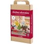 DIY Kit Kerstversiering - Kleurplaten