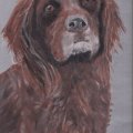 Klant imago Katoenen doek 380g - 24x30 cm