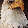 Klant imago Acrylblok Hahnem�hle 330g - 24x32cm