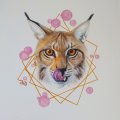Klant imago Canson XL Aquarelle 300g - A4