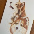 Klant imago Aquarelblok Gelijmd Warmgeperst Bogen 300g - A4