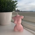Klant imago Kleurpigmentsticks - oudroze 2 st.