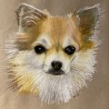 Klant imago Van Gogh Oliepastel - Wit (5)