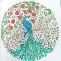 Klant imago Aquarelpen Mondeluz - 36 pennen kartonnen doos