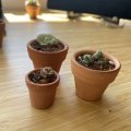 Klant imago Terracotta potten 4 cm - 10-pack