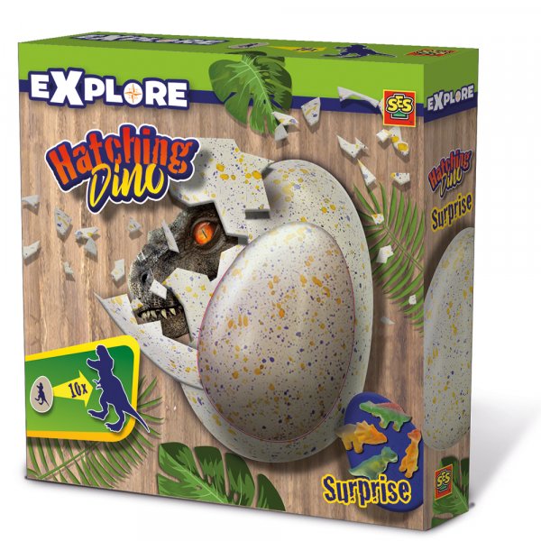 Dinosaurus eieren Dinosaurus eieren